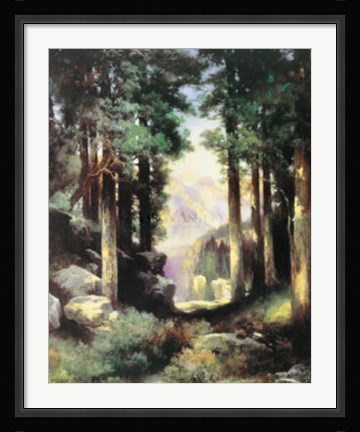 Framed Grand Canyon Of The Colorado Print