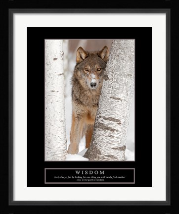 Framed Wisdom - Gray Wolf Print