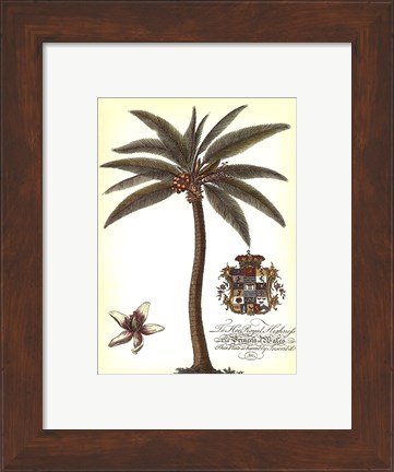 Framed Palm and Crest I Print