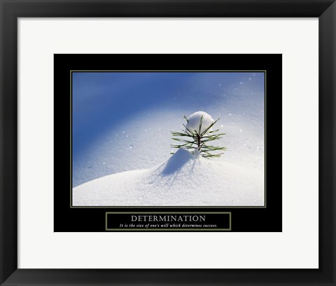 Framed Determination - Little Pine Print