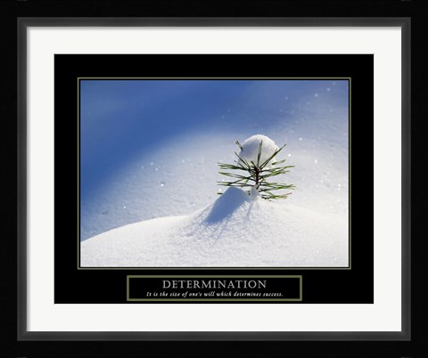 Framed Determination - Little Pine Print