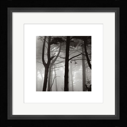 Framed Forest I Print