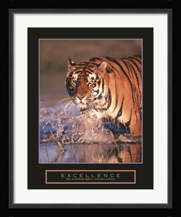 Framed Excellence - Bengal Tiger Print