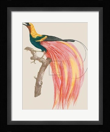 Framed Le Petit Paradis Emeraude Print