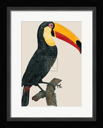 Framed Le Toco Print