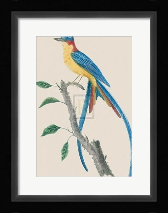 Framed Le Tyian Savana Print