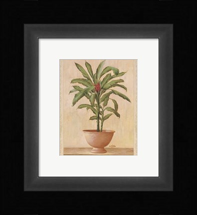 Framed Potted Palm I Print