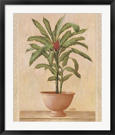 Framed Potted Palm I Print
