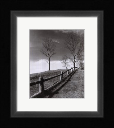 Framed Fences And Trees, Empire, Michigan Print