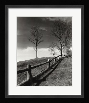 Framed Fences And Trees, Empire, Michigan Print