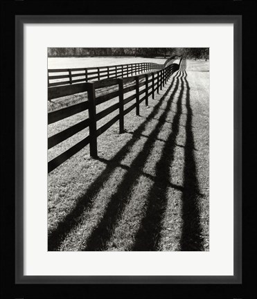 Framed Fences And Shadows, Florida Print