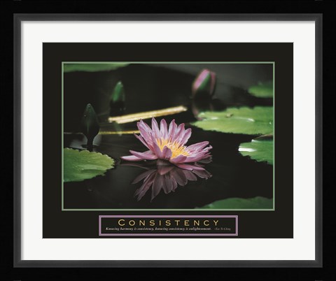 Framed Consistency - Pond Flower Print