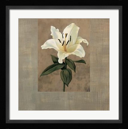Framed Lily Print