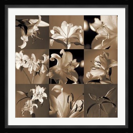 Framed Lily Garden Print