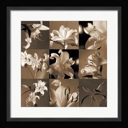 Framed Lily Garden Print