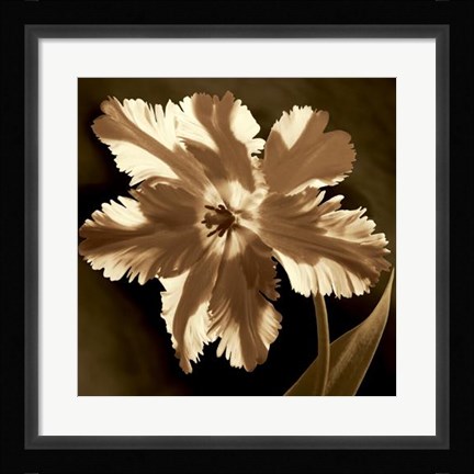 Framed Parrot Tulip I Print