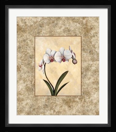 Framed Perfection I Print