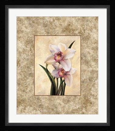 Framed Perfection II Print