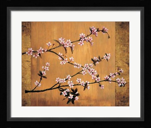 Framed Cherry Blossoms Print