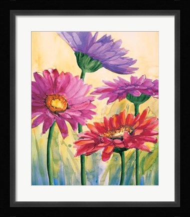 Framed Gerbere In Rosa Print