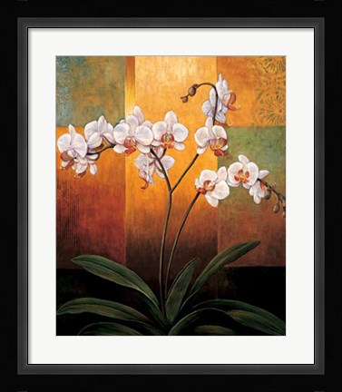 Framed Orchids Print