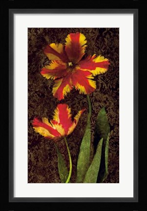 Framed Decorative Tulips II Print