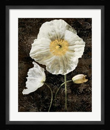 Framed Poppies II Print