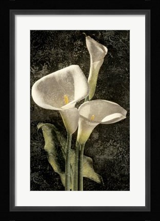 Framed Callas I Print