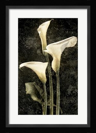 Framed Callas II Print