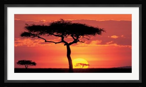 Framed Masai Mara Plains, Kenya Print