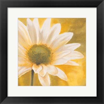 Framed Marguerites Dans Le Soleil III Print