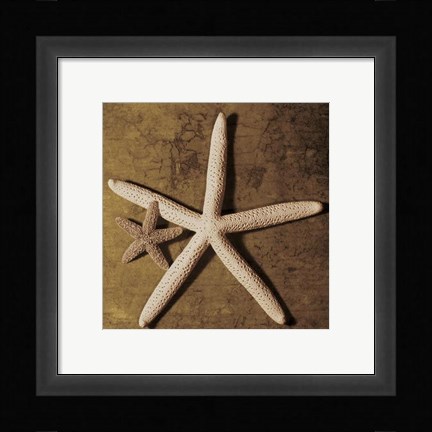 Framed Starfish Print
