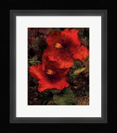 Framed Hibiscus II Print