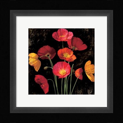 Framed Poppy Bouquet I Print