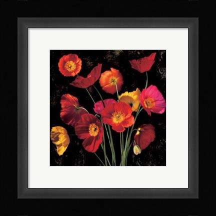 Framed Poppy Bouquet II Print