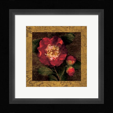 Framed Red Camellias I Print
