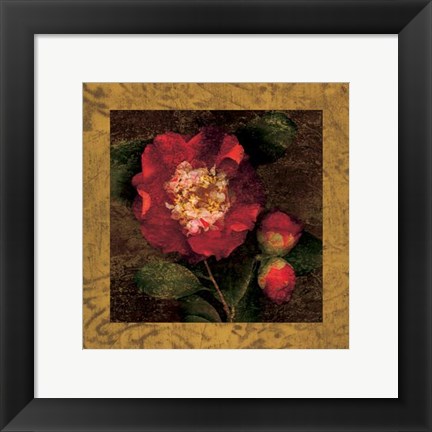 Framed Red Camellias I Print