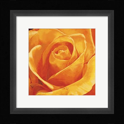 Framed Gaiezza Print