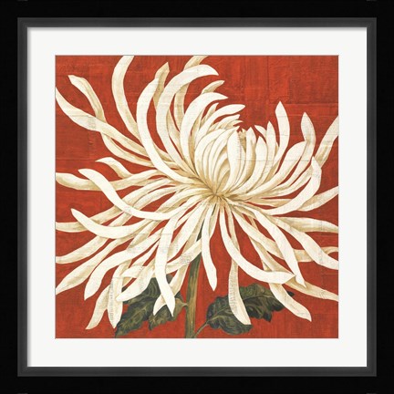 Framed Spider Mum I Print