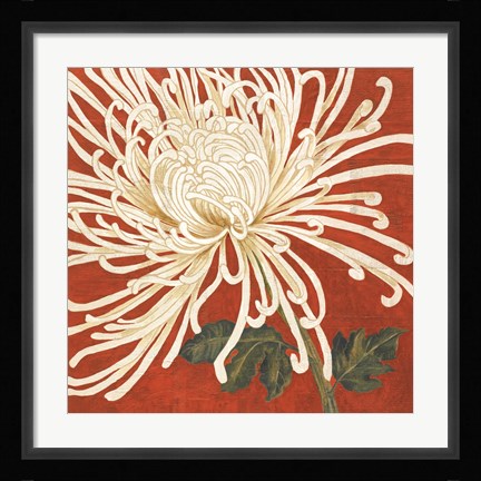 Framed Spider Mum II Print
