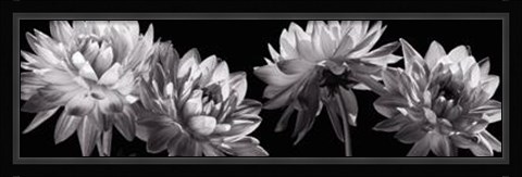 Framed All In A Row Print