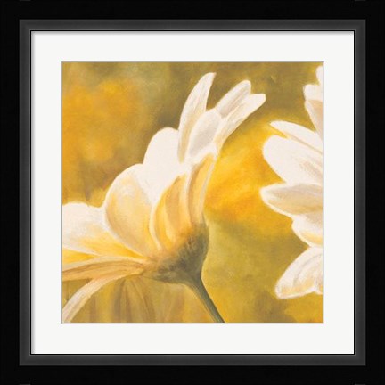 Framed Marguerites Dans Le Soleil II Print