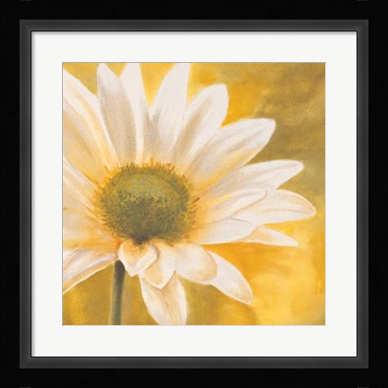 Framed Marguerites Dans Le Soleil III Print