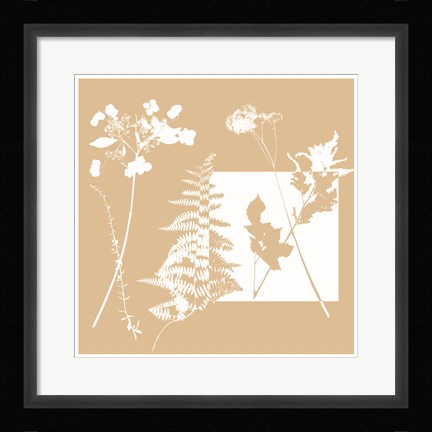 Framed Yin Yang II Print