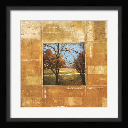 Framed Terranova II Print