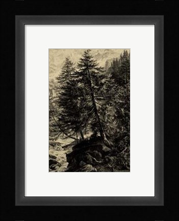 Framed Larch Tree Print
