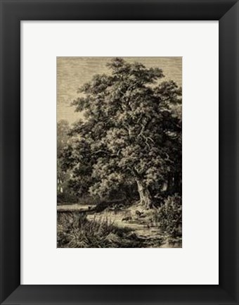 Framed Oak Tree Print
