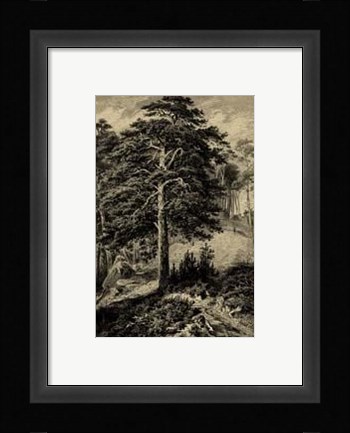 Framed Wild Pine Print