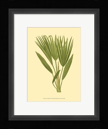 Framed Terra Collection VI Print