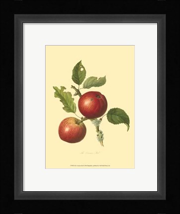 Framed Cowarne Red Print